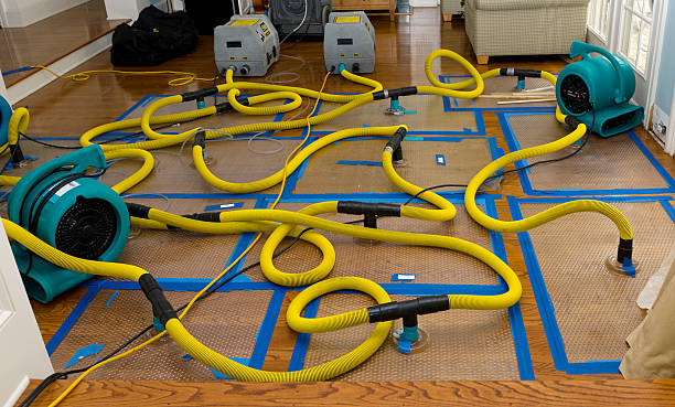 Professional Sewage Cleanup technician working in Manor, TX